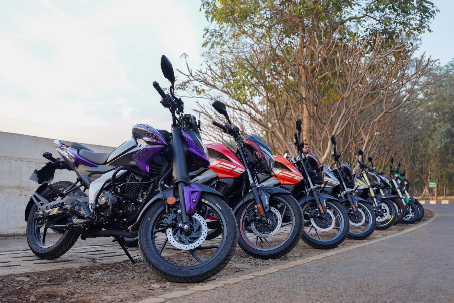 Bajaj Dominar y Pulsar