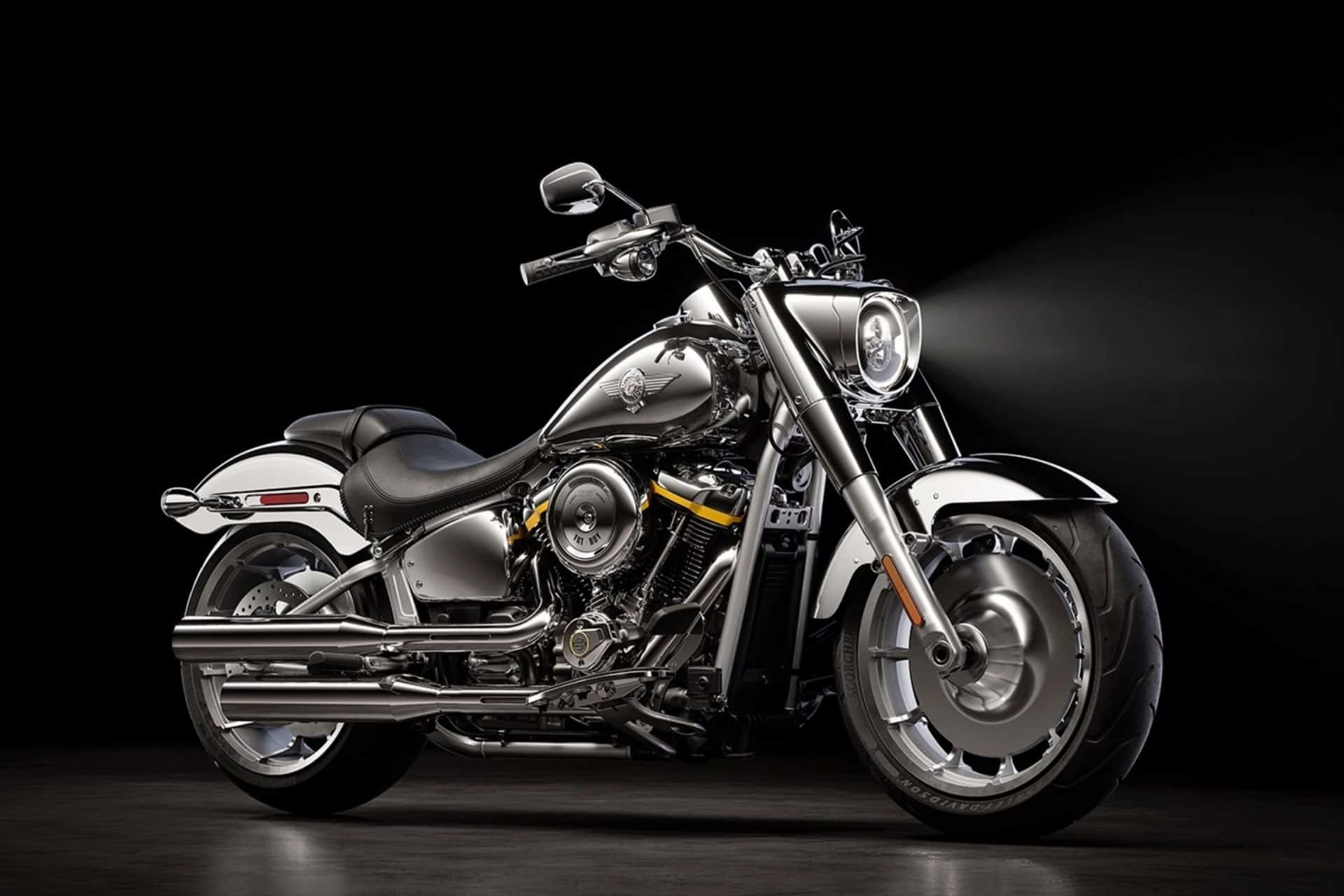 Harley-Davidson Fat Boy Gray Ghost