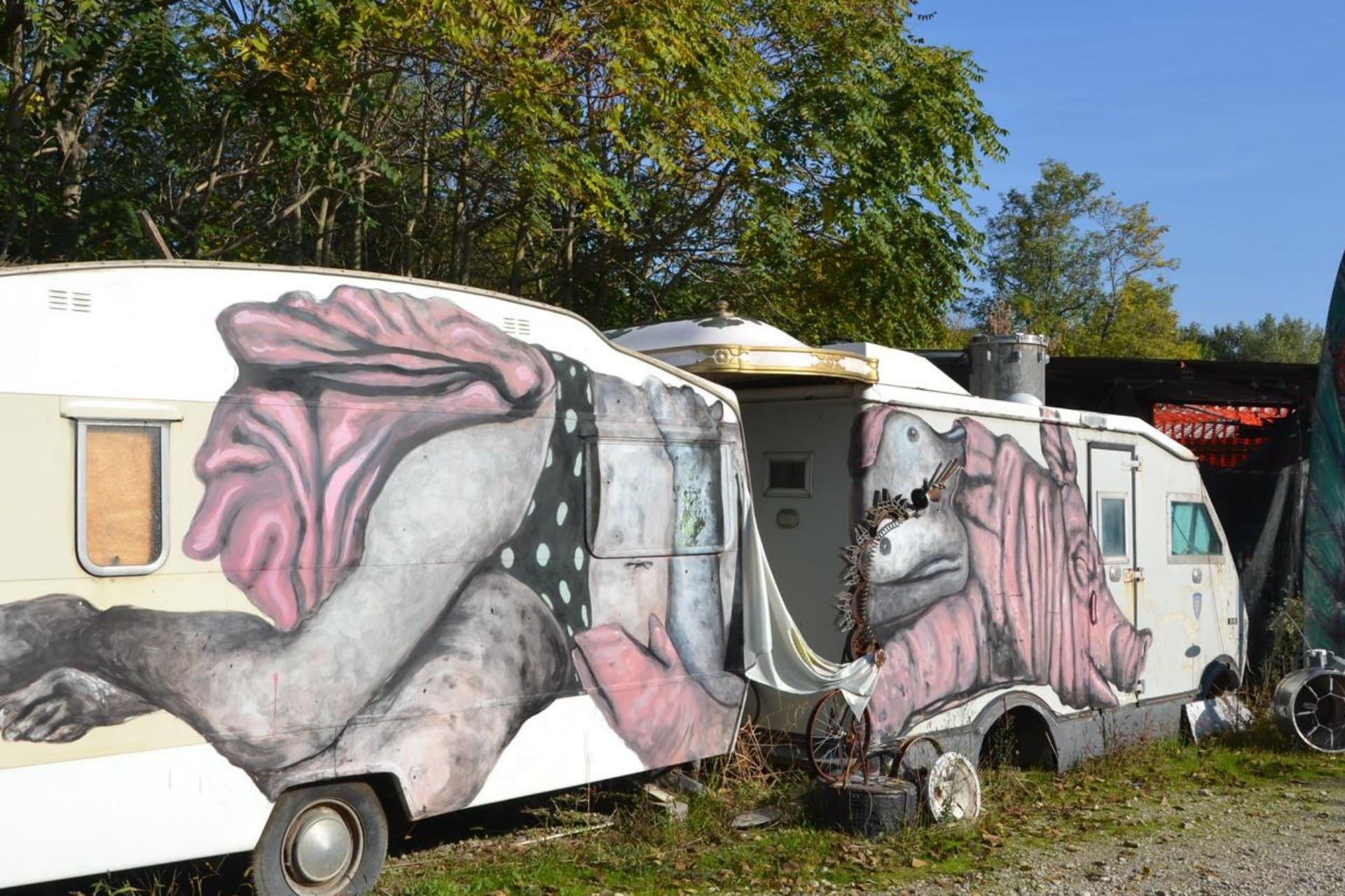 Mutonia Emilia-Romaña