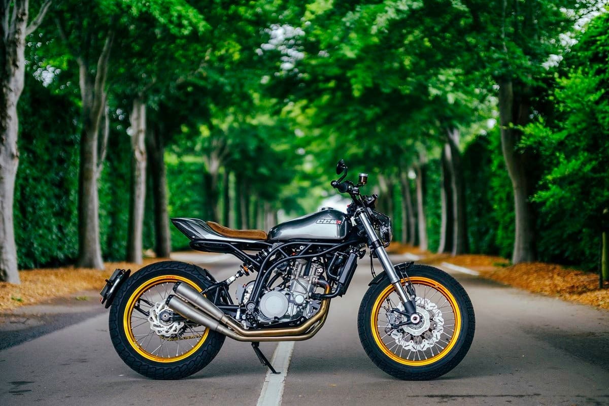 欧洲利基品牌，严重灭绝的危险