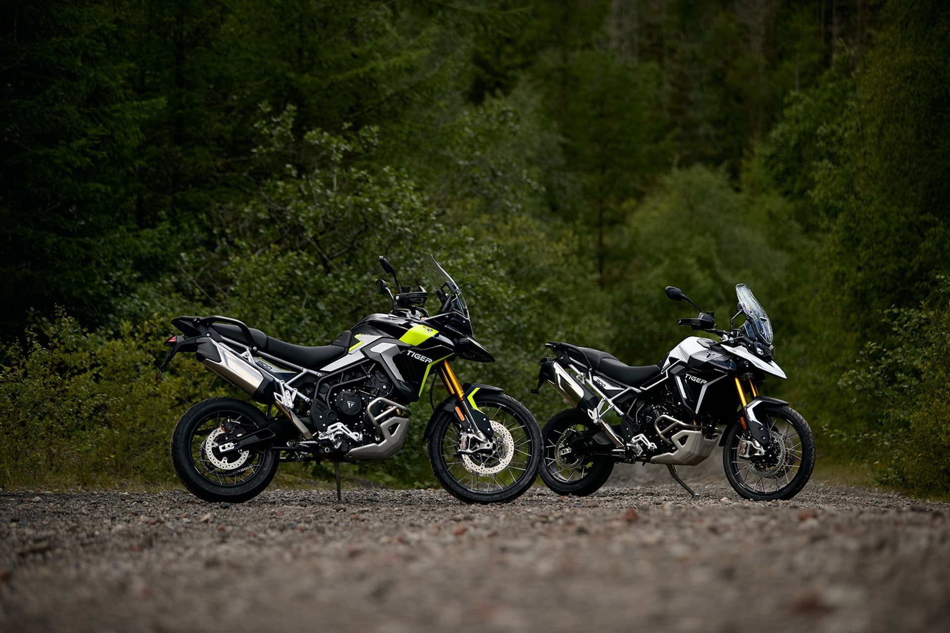 Triumph呈现其新的2026色范围与当前趋势一致