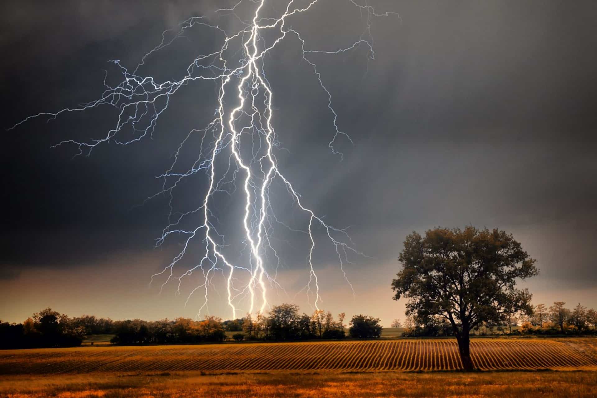 意大利的Rayo Impact驾驶者死亡