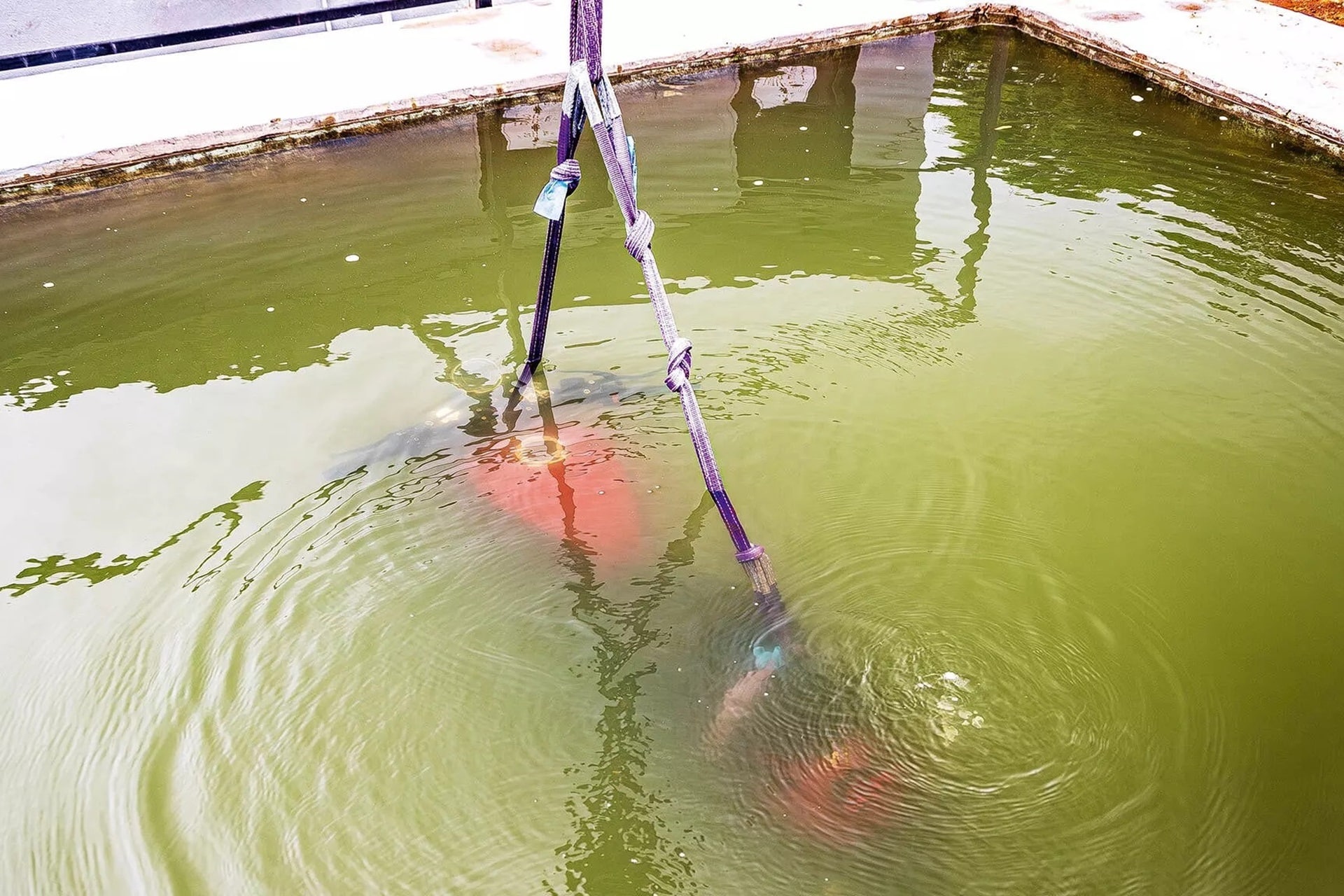 哈雷戴维森 X440 正在接受“严苛的测试”