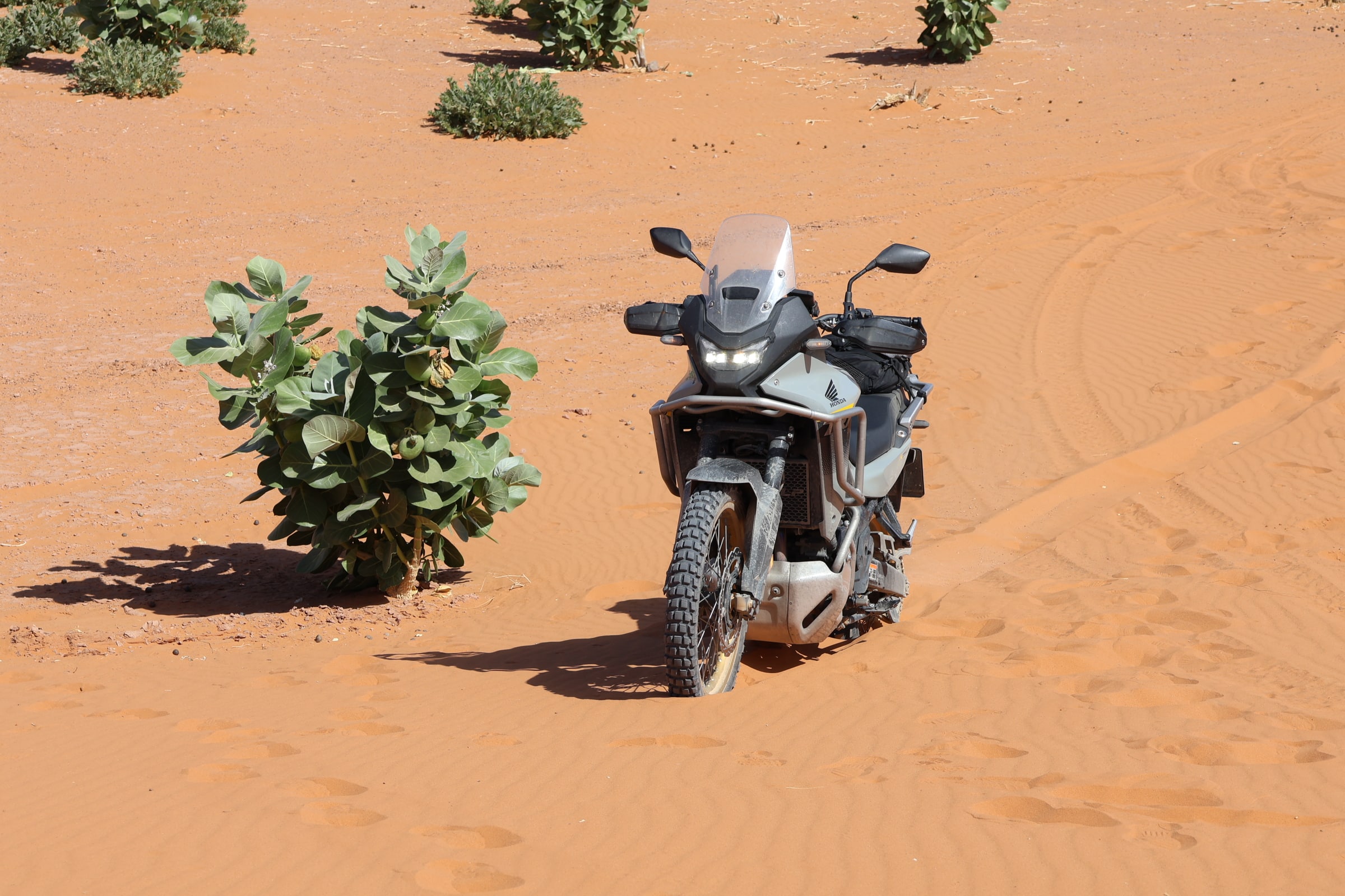 本田 Transalp 在摩洛哥进行测试