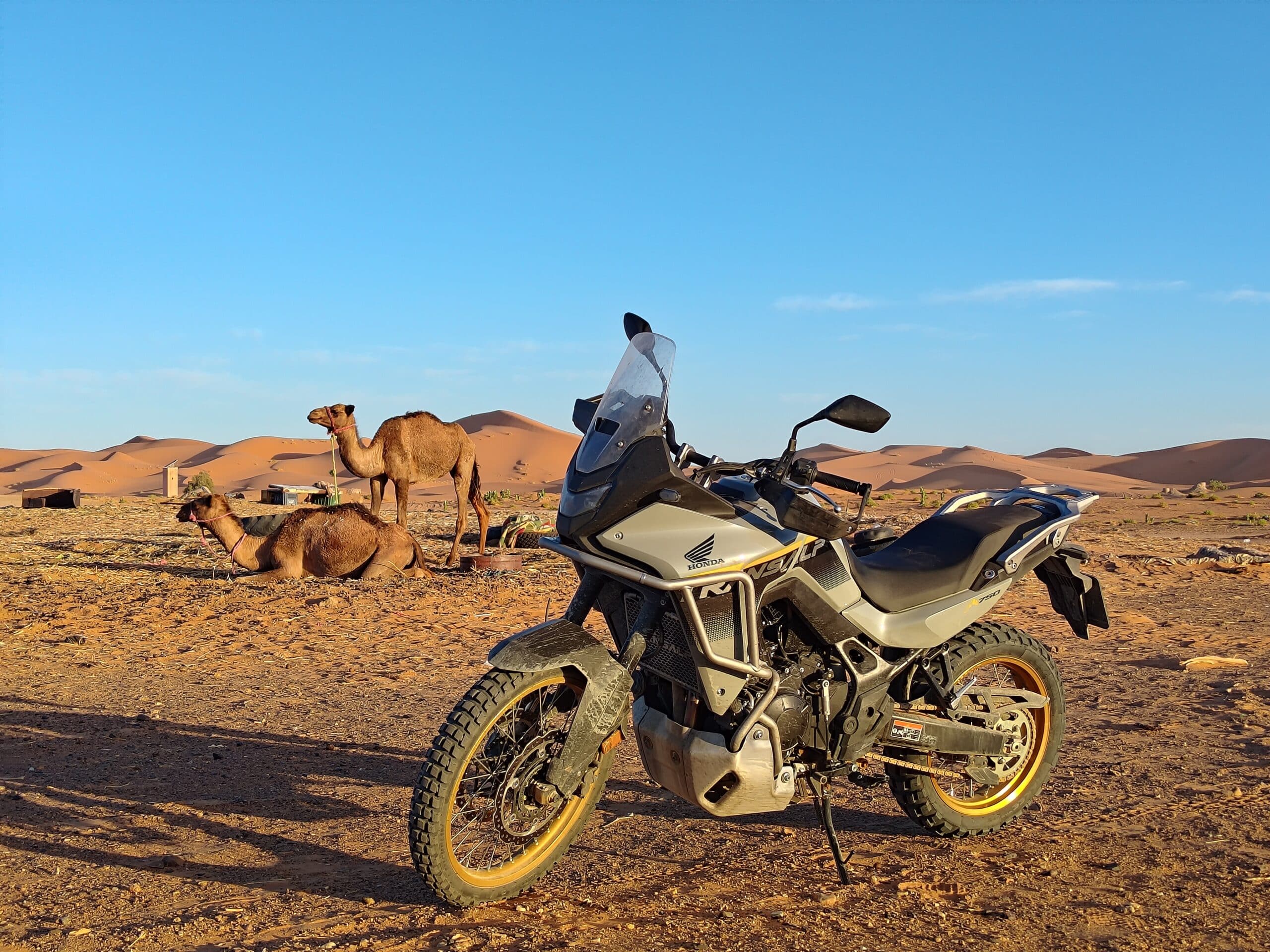 本田 Transalp 在摩洛哥进行测试