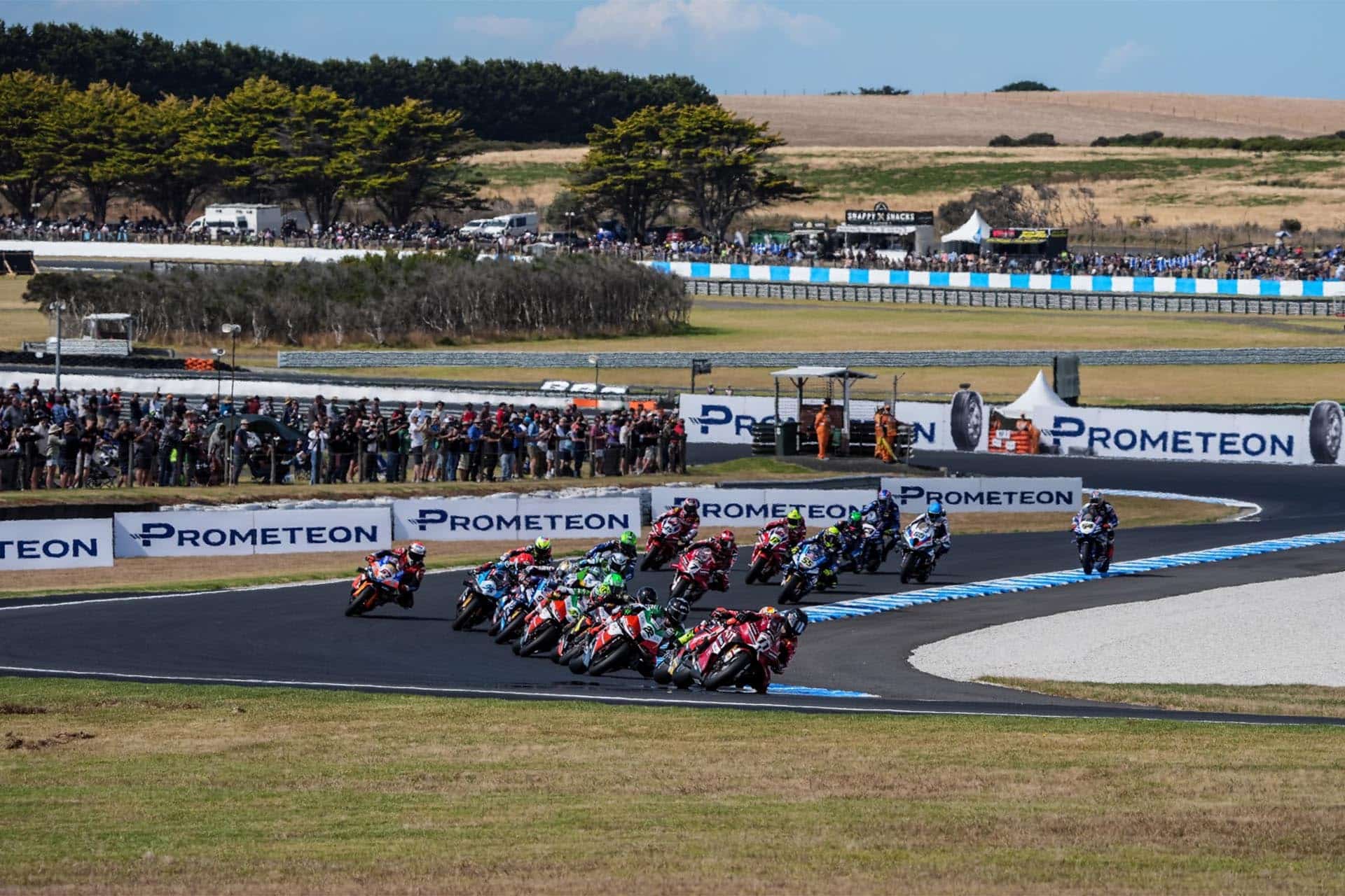 Bulega任何时候都没有给出选项