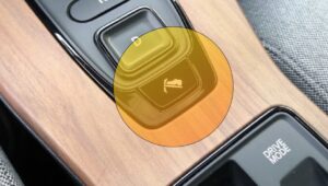 有趣吗？我们解答您的疑惑