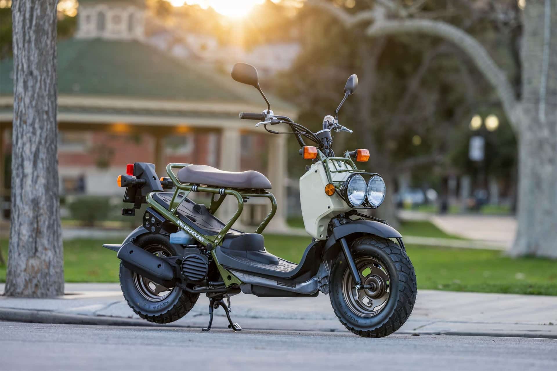 照片：本田 Ruckus 美国