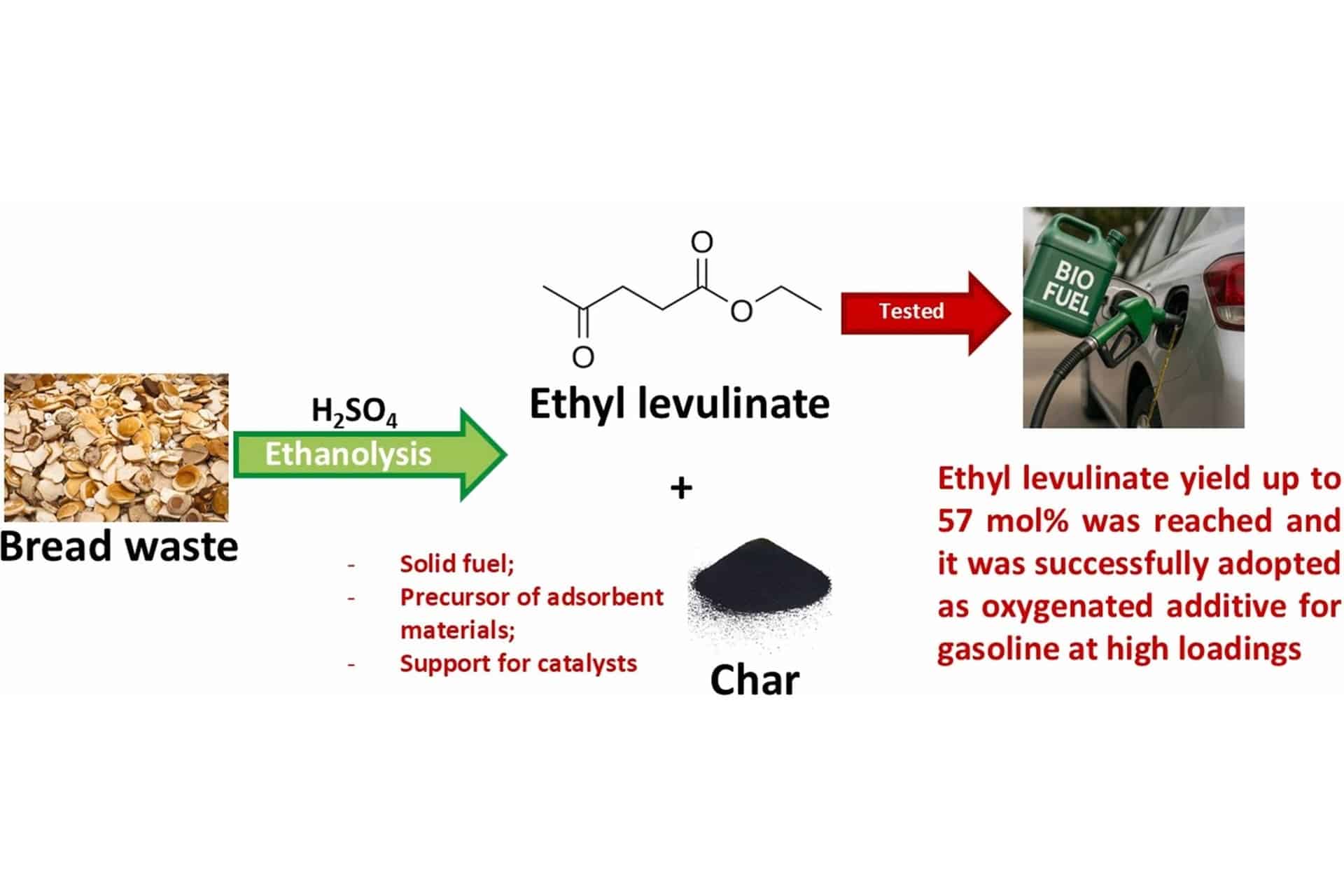 剩下的面包可能有我们不知道的新用途：生产生物燃料