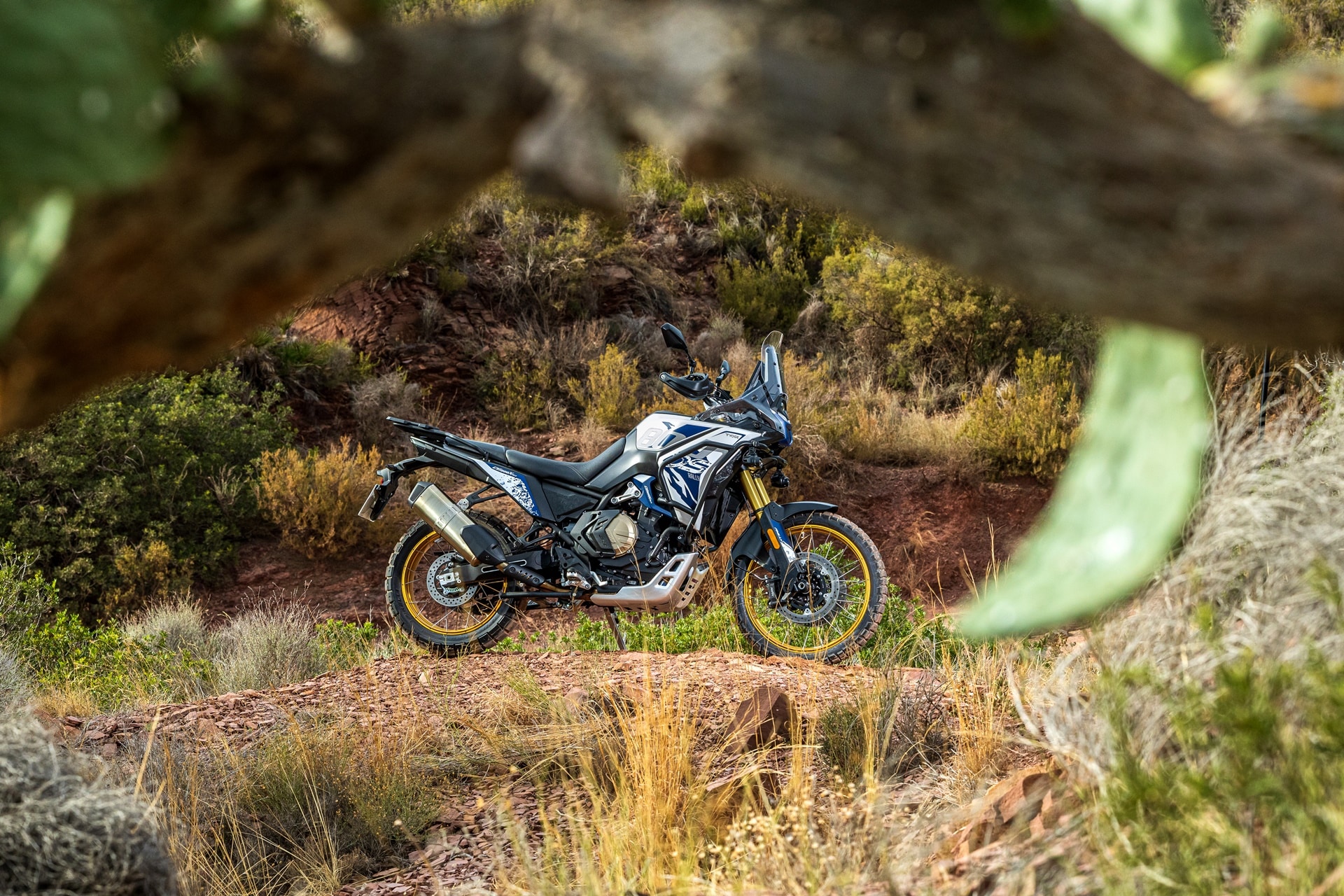 Voge DS800 Rally：现在也可用于 A2 许可证