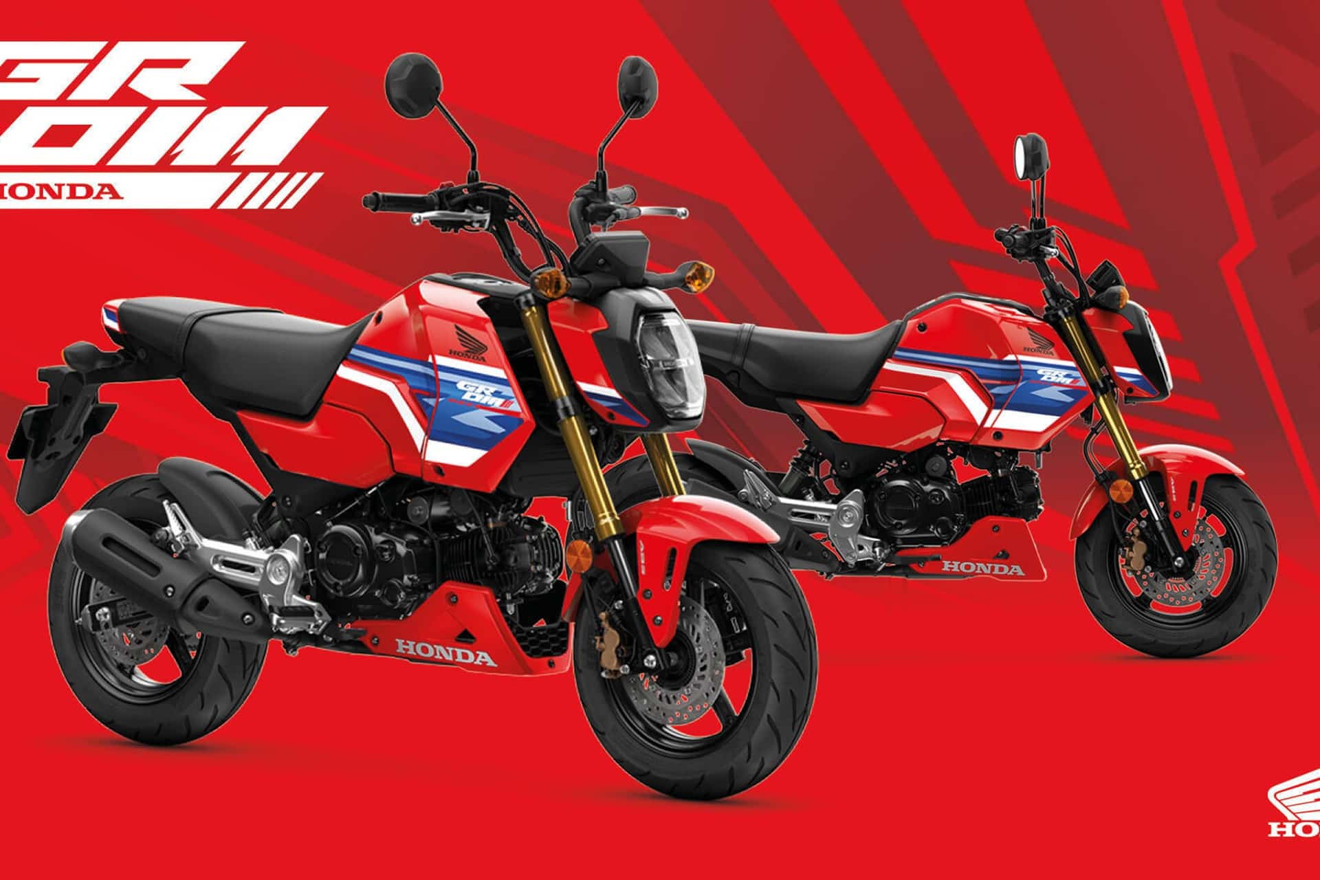 本田 MSX125 格罗姆 2026
