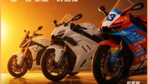 不到8000欧元的Brembo、KYB和145 HP：挑战市场的ZXMoto 820RR-R