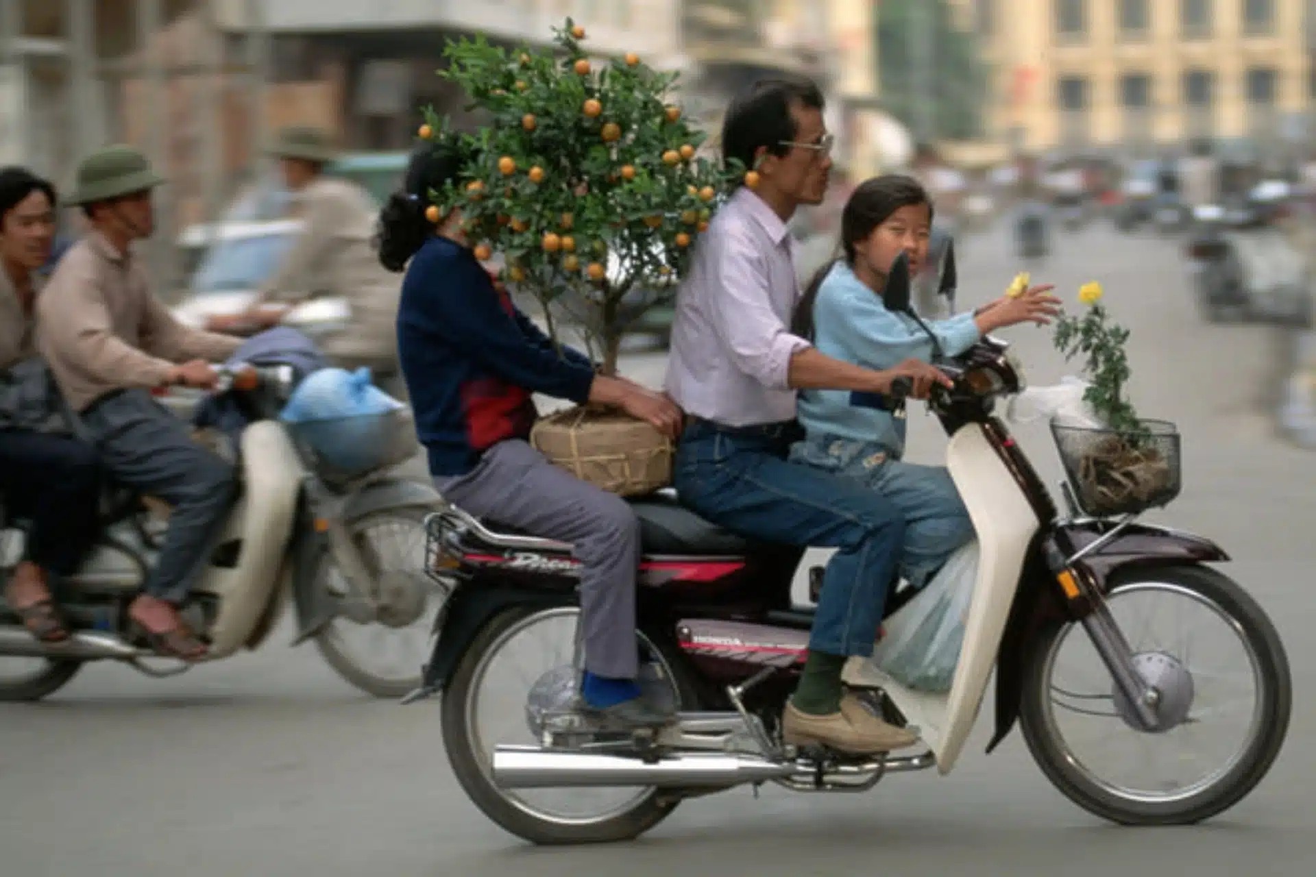 ZBE抵达越南和印度,并随之“消灭”汽油摩托车