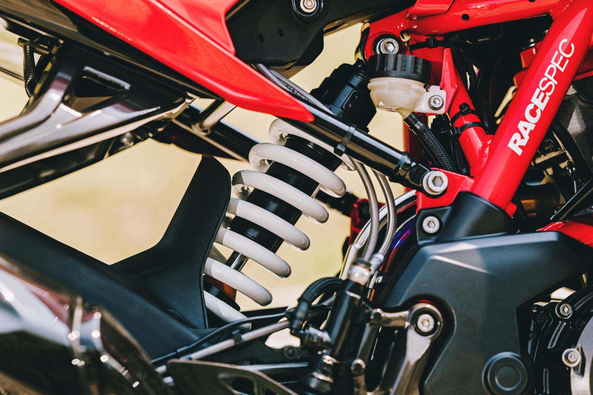 TVS RR 310 2026