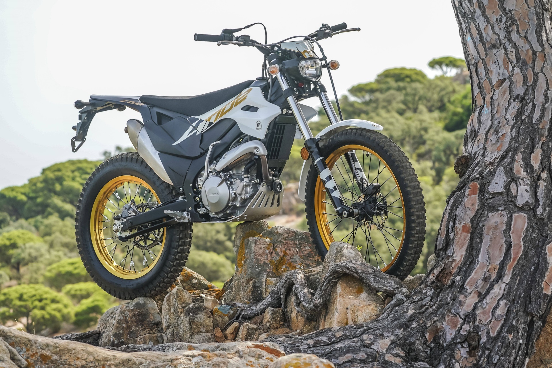 Montesa 在其更新的 2027 系列中推出新装饰品
