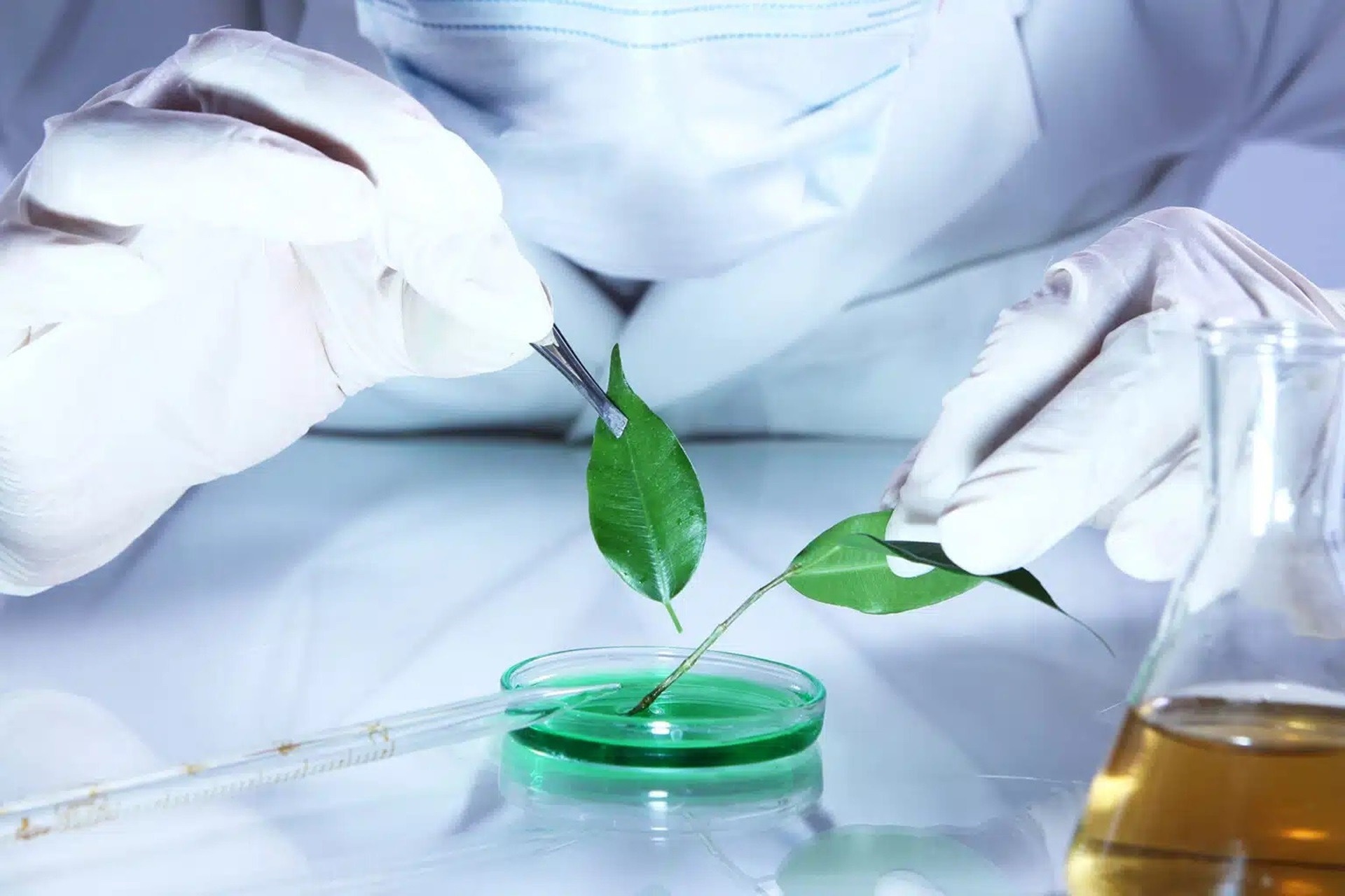 埃尼和马来西亚国家石油公司签署“可行性协议”,以评估高性能生物汽油在街道模型中是否可行