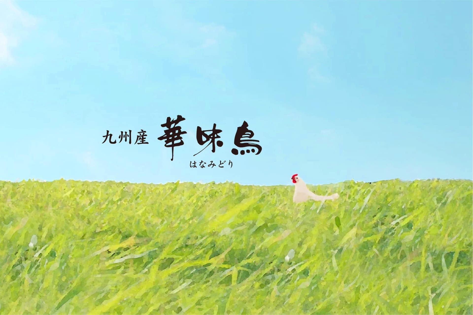 铃木咖喱 日本航空 Torizen